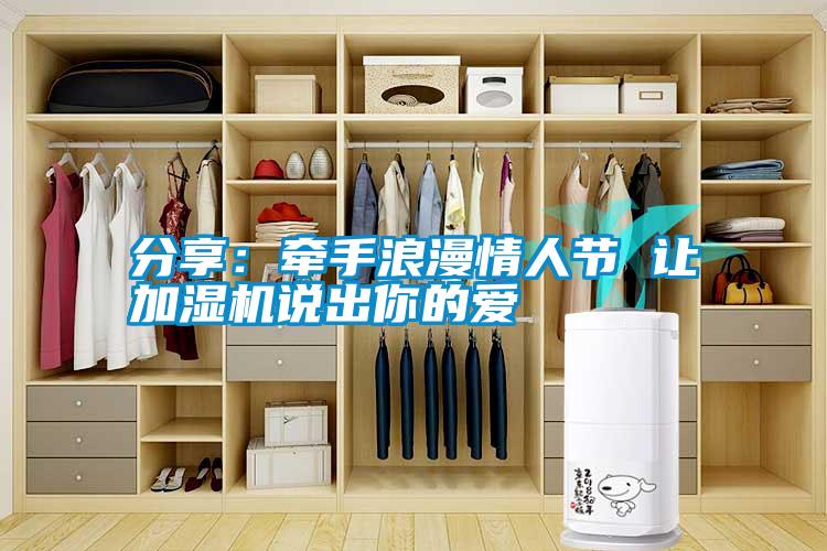 分享：牽手浪漫情人節 讓加濕機說出你的愛