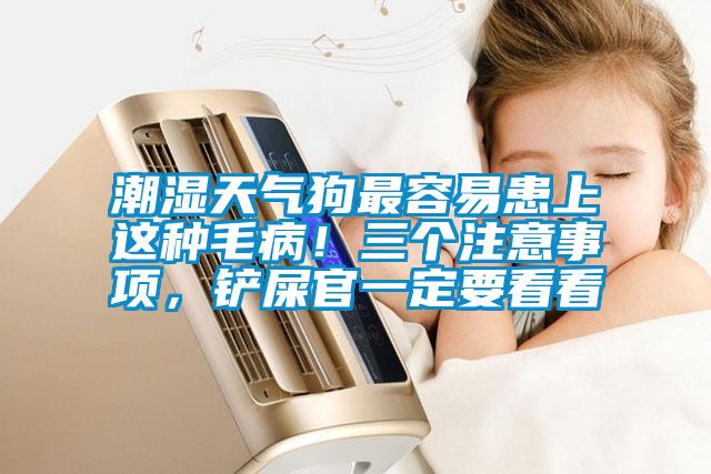 潮濕天氣狗最容易患上這種毛病！三個注意事項，鏟屎官一定要看看