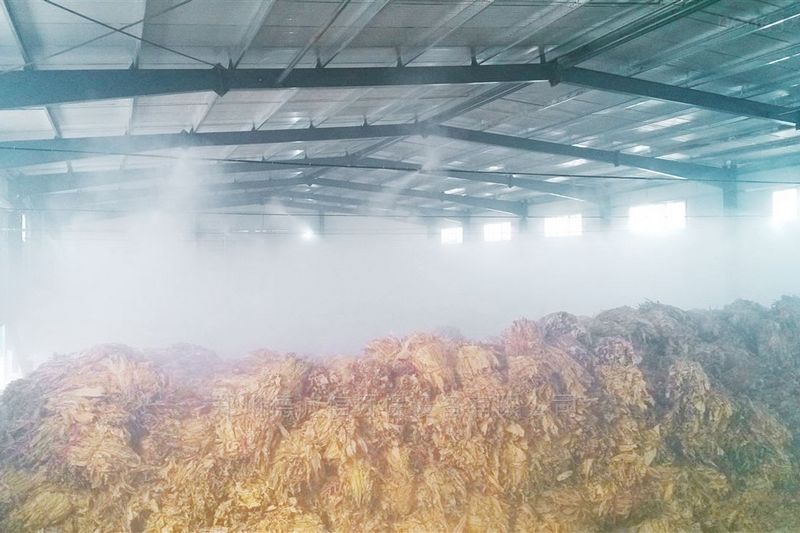 提升煙葉加工質量，高效回潮很重要