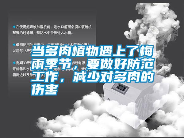 當多肉植物遇上了梅雨季節，要做好防范工作，減少對多肉的傷害