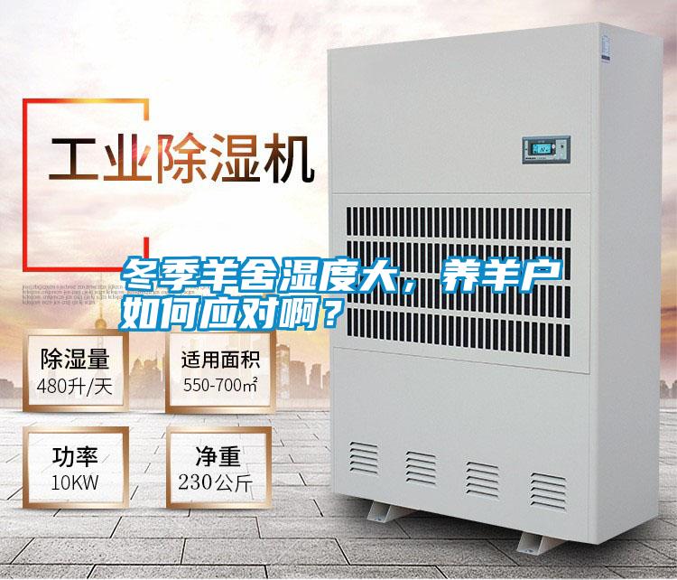 冬季羊舍濕度大，養羊戶如何應對啊？