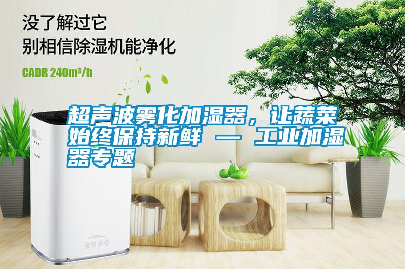 超聲波霧化加濕器，讓蔬菜始終保持新鮮 — 工業加濕器專題