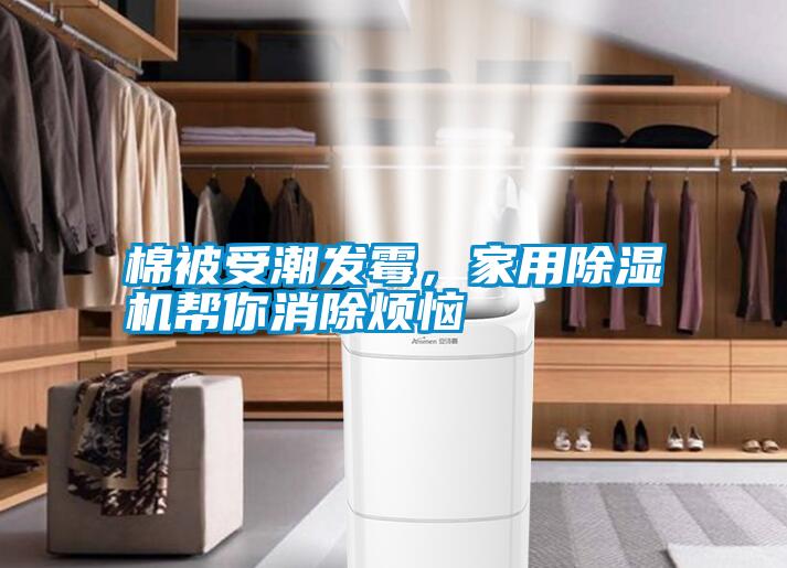 棉被受潮發霉，家用除濕機幫你消除煩惱