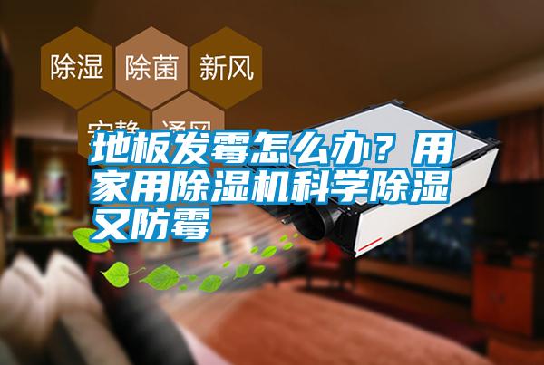 地板發霉怎么辦？用家用除濕機科學除濕又防霉