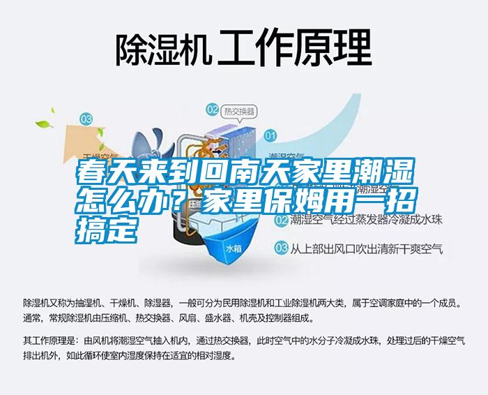 春天來(lái)到回南天家里潮濕怎么辦？家里保姆用一招搞定