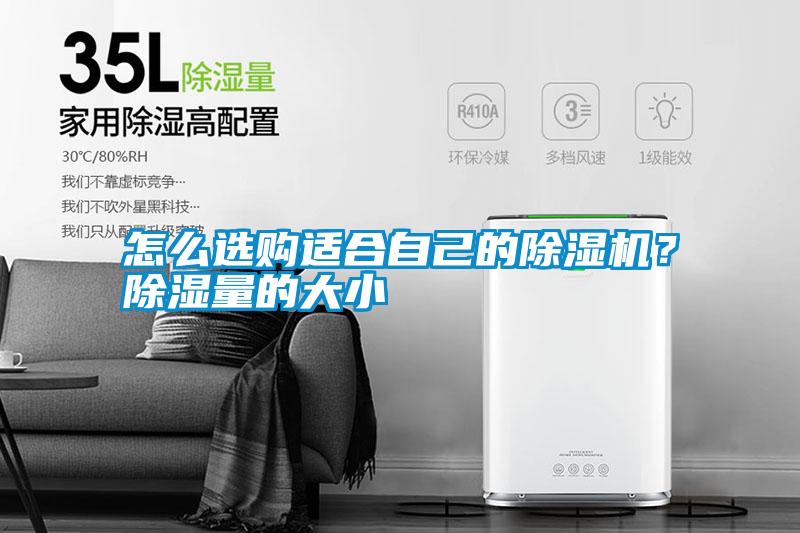 怎么選購(gòu)適合自己的除濕機(jī)？除濕量的大小