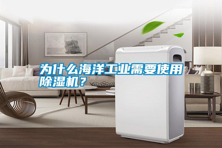 為什么海洋工業需要使用除濕機？