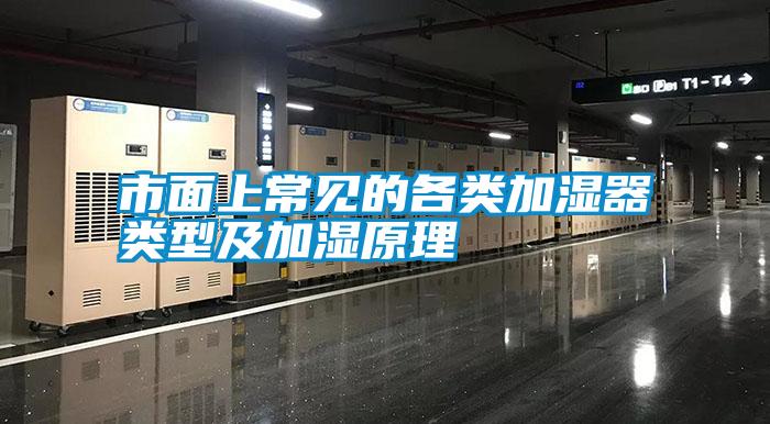 市面上常見(jiàn)的各類加濕器類型及加濕原理