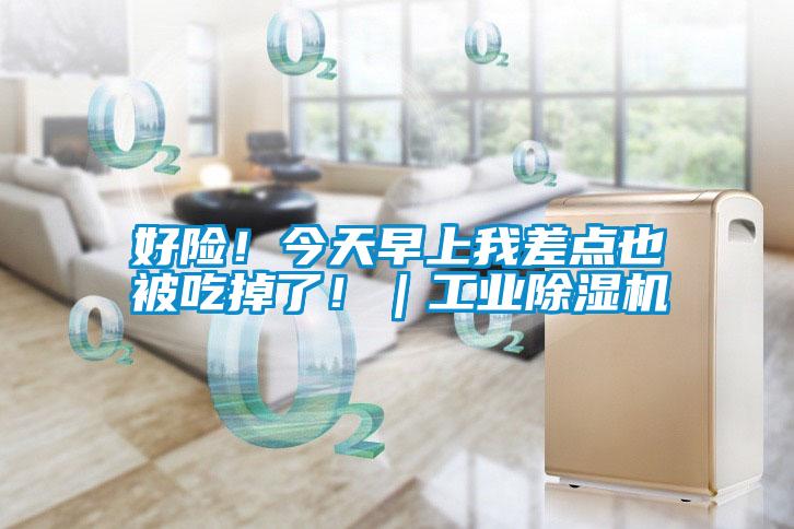 好險！今天早上我差點也被吃掉了！｜工業除濕機