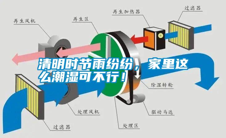 清明時節(jié)雨紛紛，家里這么潮濕可不行！