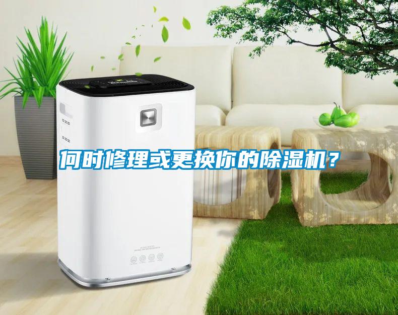 何時修理或更換你的除濕機？