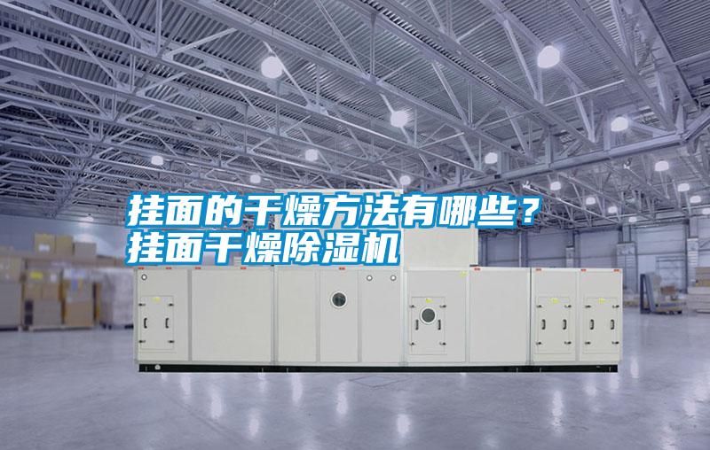 掛面的干燥方法有哪些？ 掛面干燥除濕機