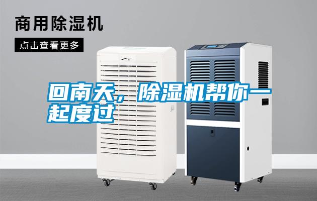 回南天，除濕機幫你一起度過