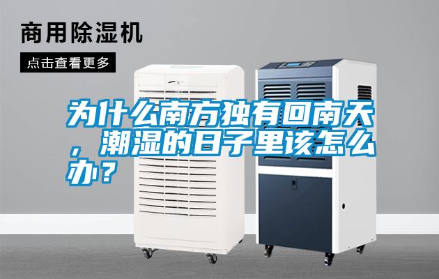 為什么南方獨(dú)有回南天，潮濕的日子里該怎么辦？