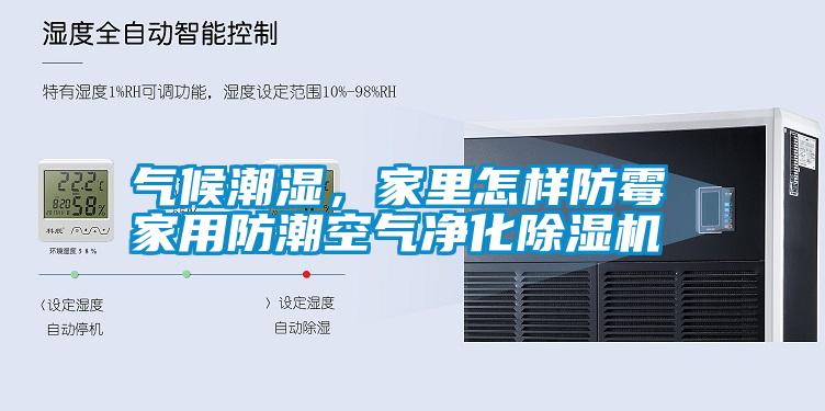 氣候潮濕，家里怎樣防霉 家用防潮空氣凈化除濕機