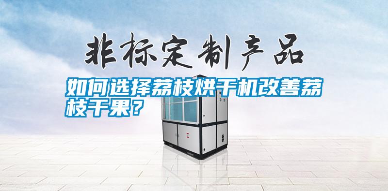 如何選擇荔枝烘干機(jī)改善荔枝干果？