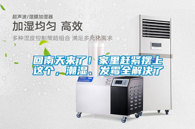 回南天來了！家里趕緊擺上這個，潮濕、發霉全解決了