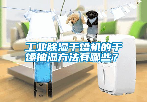 工業(yè)除濕干燥機(jī)的干燥抽濕方法有哪些？