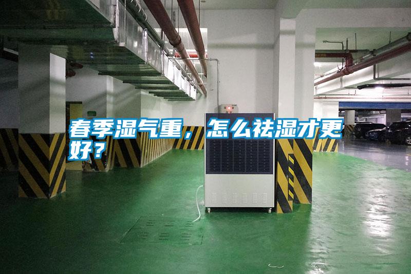 春季濕氣重,怎么祛濕才更好?