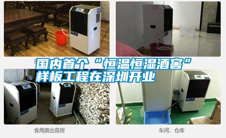 國內(nèi)首個“恒溫恒濕酒窖”樣板工程在深圳開業(yè)