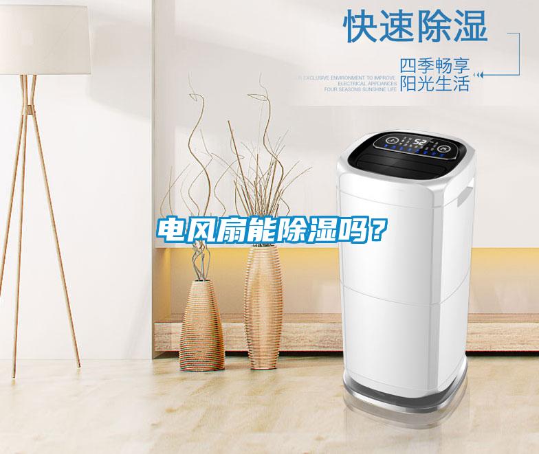 電風扇能除濕嗎？