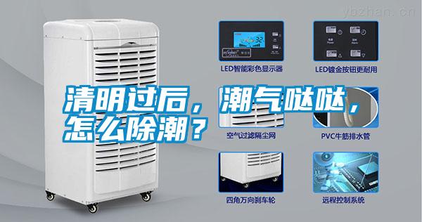 清明過(guò)后，潮氣噠噠，怎么除潮？