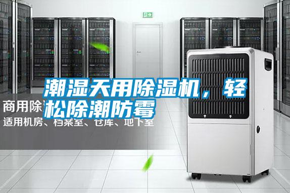 潮濕天用除濕機(jī)，輕松除潮防霉