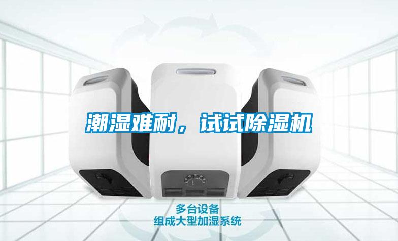潮濕難耐，試試除濕機