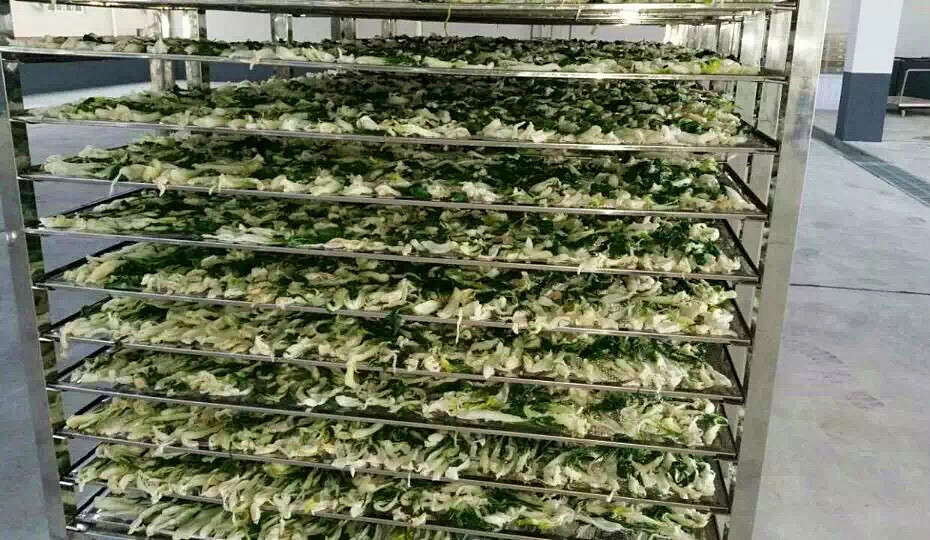 菜干需求一直都很大，蔬菜烘干機很有市場