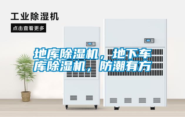 地庫(kù)除濕機(jī),地下車庫(kù)除濕機(jī),防潮有方
