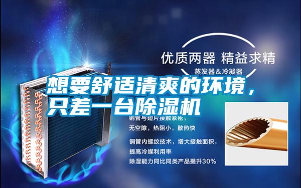 想要舒適清爽的環境，只差一臺除濕機