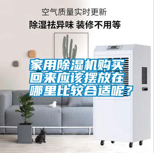 家用除濕機購買回來應該擺放在哪里比較合適呢？