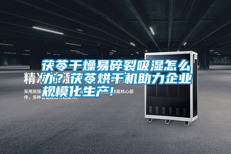 茯苓干燥易碎裂吸濕怎么辦？茯苓烘干機助力企業規模化生產!