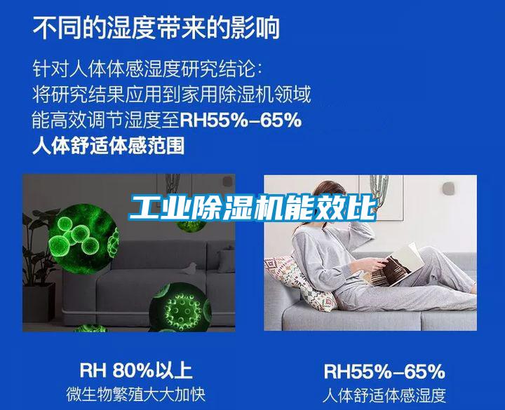 工業除濕機能效比
