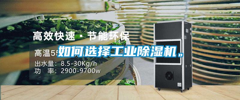 如何選擇工業除濕機。