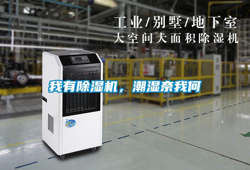 我有除濕機(jī),潮濕奈我何