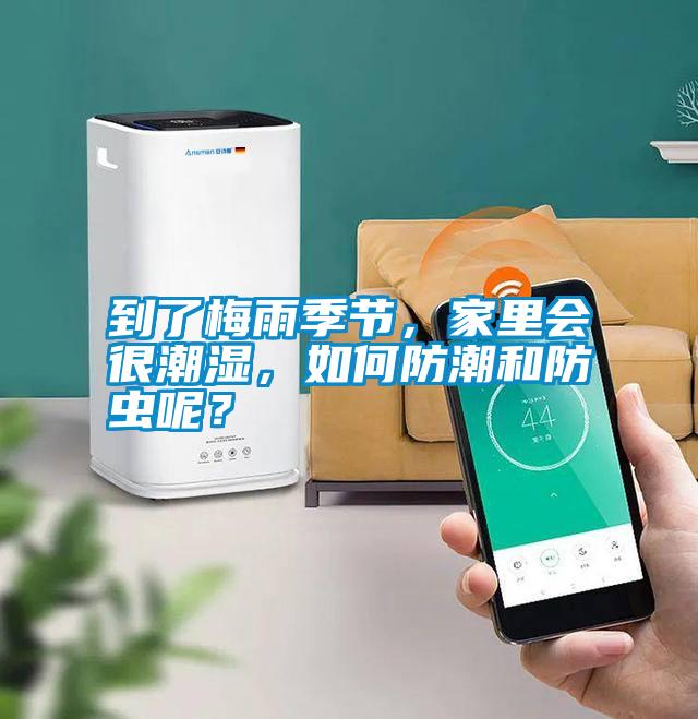 到了梅雨季節(jié)，家里會(huì)很潮濕，如何防潮和防蟲呢？