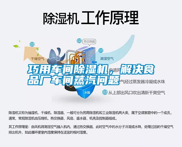 巧用車間除濕機，解決食品廠車間蒸汽問題