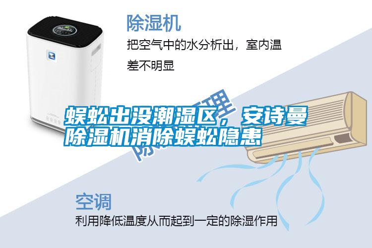 蜈蚣出沒潮濕區，安詩曼除濕機消除蜈蚣隱患
