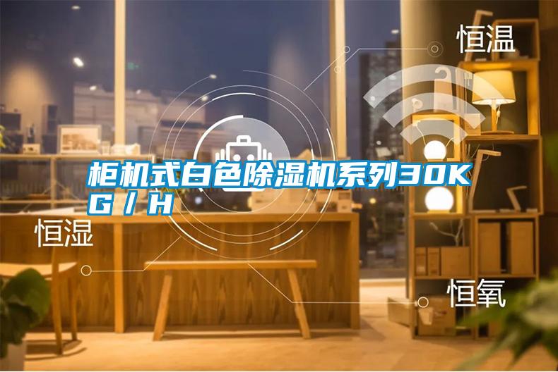 柜機式白色除濕機系列30KG/H