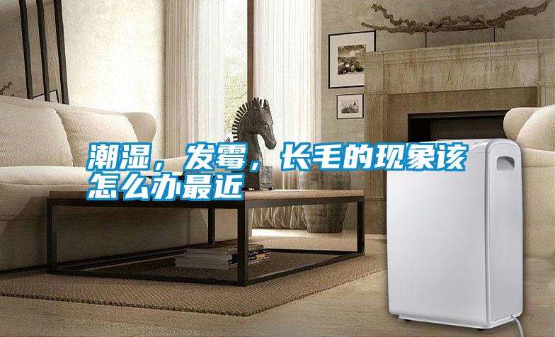 潮濕，發霉，長毛的現象該怎么辦最近