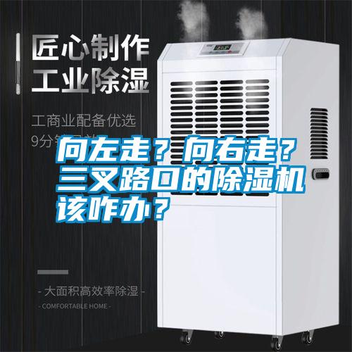向左走?向右走?三叉路口的除濕機該咋辦?