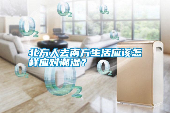 北方人去南方生活應該怎樣應對潮濕？