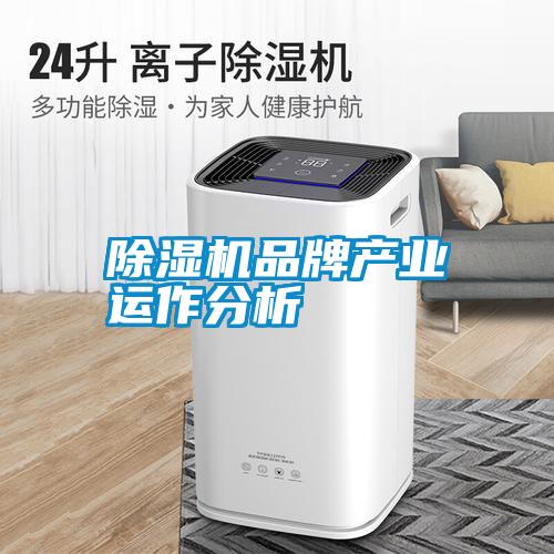 除濕機品牌產業運作分析