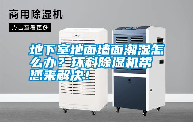 地下室地面墻面潮濕怎么辦？環科除濕機幫您來解決！