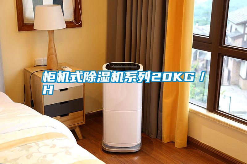 柜機式除濕機系列20KG/H