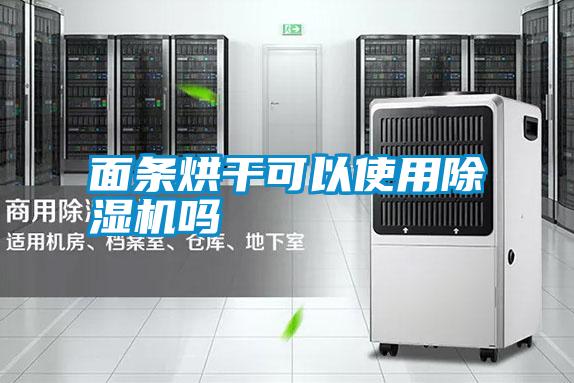 面條烘干可以使用除濕機嗎