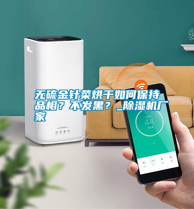 無硫金針菜烘干如何保持品相？不發黑？_除濕機廠家