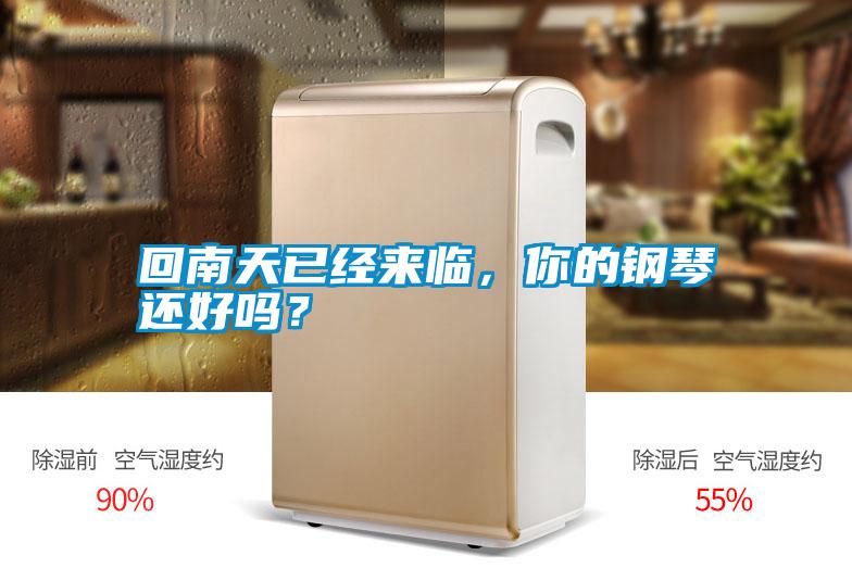 回南天已經(jīng)來臨，你的鋼琴還好嗎？