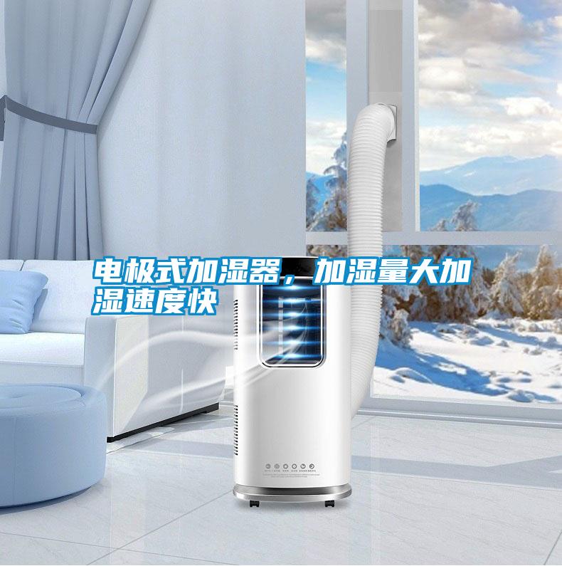 電極式加濕器，加濕量大加濕速度快